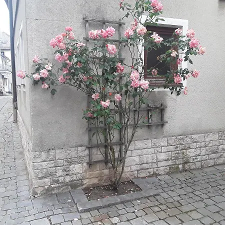Hotell Zur Rose